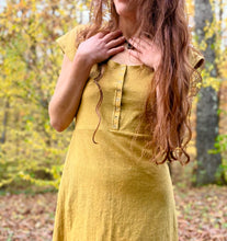 Load image into Gallery viewer, Ginger Snap Dress
